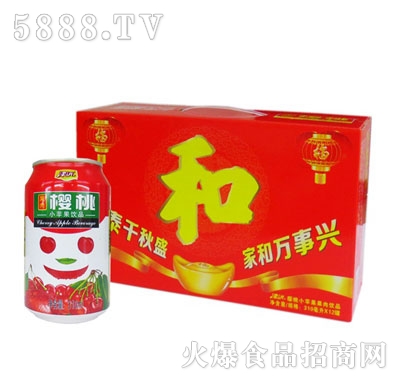 �������С�O(p��ng)��310mlx12