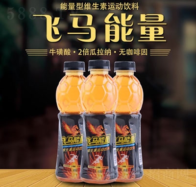 �w�R�����;S�������