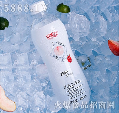 �������K�����ˮ����ζ480ml