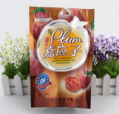 ï���f�Α���120g