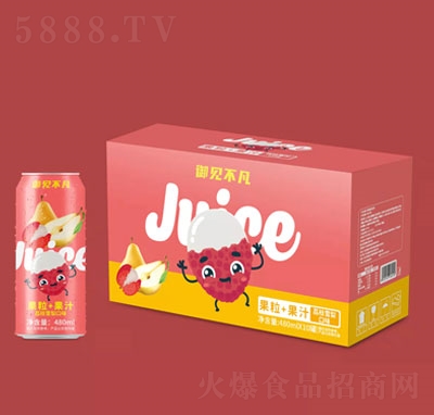 ��Ҋ��������+��֭��֦ѩ���ζ480mlX10��