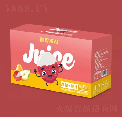 ��Ҋ��������+��֭��֦ѩ���ζ480mlX10