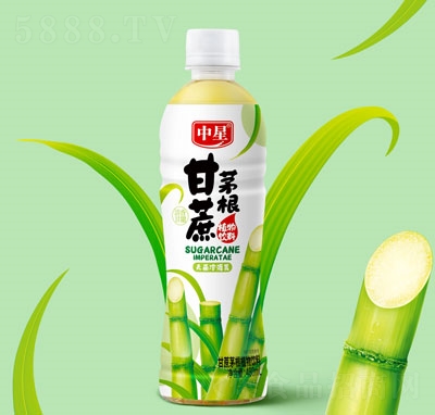 ���Ǹ���é��ֲ�����480ml