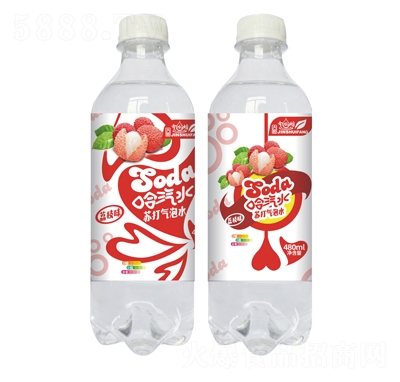 ��ˮ�������K�����ˮ��֦ζ480ml