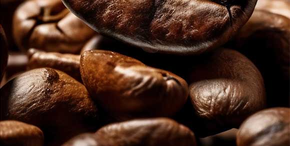 �V��Ľ�pʳƷ�Ƽ����޹�˾-؈ʺ����_07