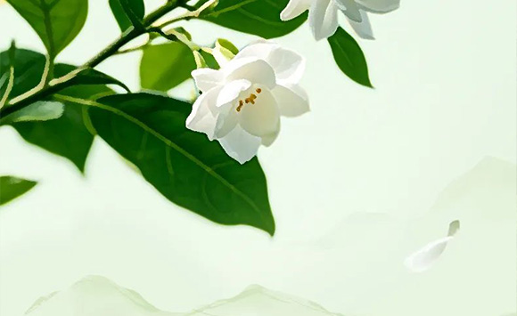 �V��Ľ�pʳƷ�Ƽ����޹�˾--�a(ch��n)Ʒ����2_06