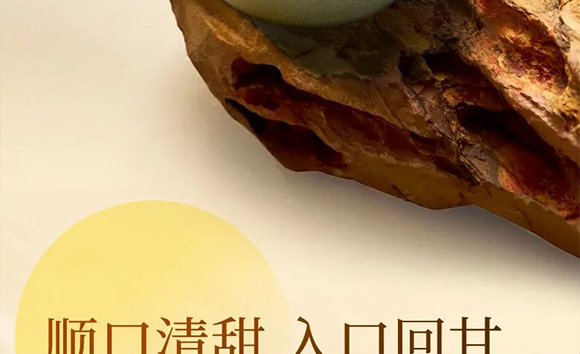 �V��Ľ�pʳƷ�Ƽ����޹�˾--�a(ch��n)Ʒ��(hu��)��(c��)3_11