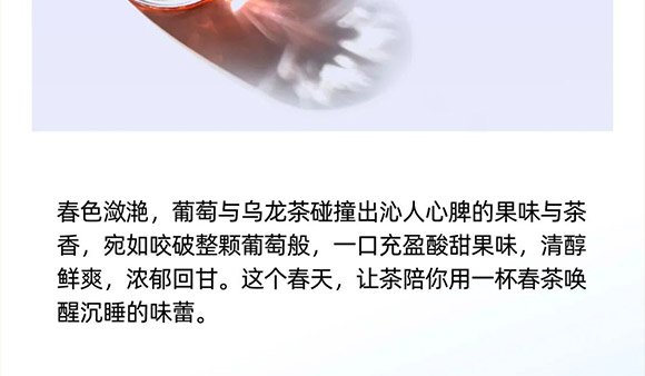 ׌�裨������������޹�˾-����_10